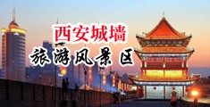 黑粗大屌猛操亚洲女小穴中国陕西-西安城墙旅游风景区